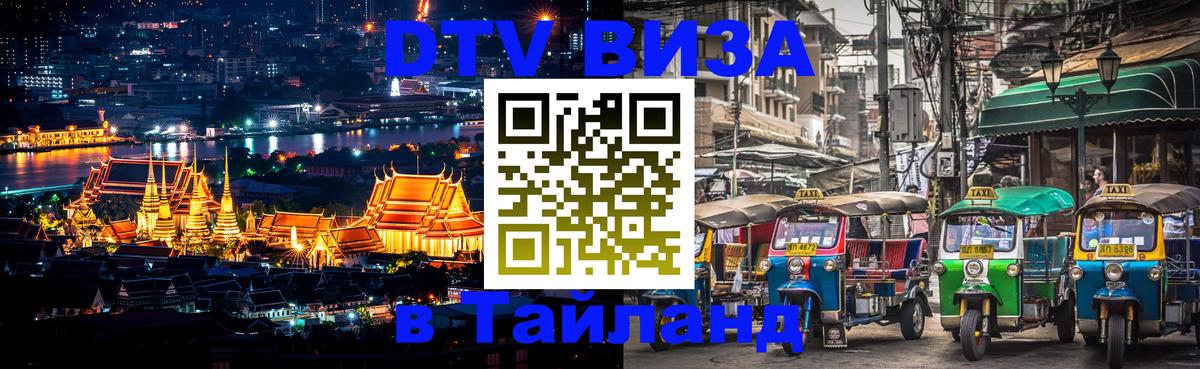 Оформление DTV визы под ключ: стоимость и тарифы, только загранпаспорт - Саратов 